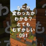 マインクラフトでマイクイズ！なにがかわったかわかる？アハ体験で間違い探し（とてもむずかしい）091 #shorts #マイクラ #マインクラフト #minecraft #マインクラフトでマイクイズ