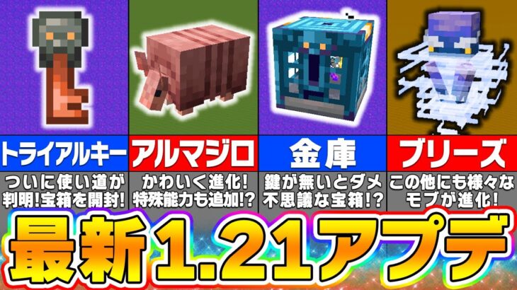 【マイクラ1.21】最新アプデが嬉しすぎる！？気になる謎が明らかになった衝撃のアプデ情報【まいくら・マインクラフト】