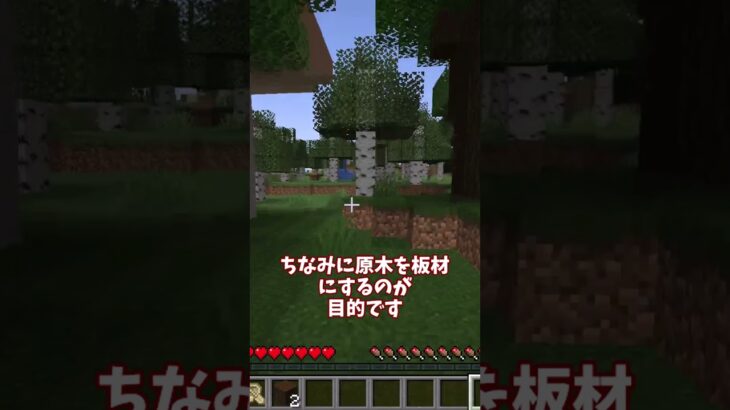 10秒マイクラPart10 #shorts #minecraft #マイクラ
