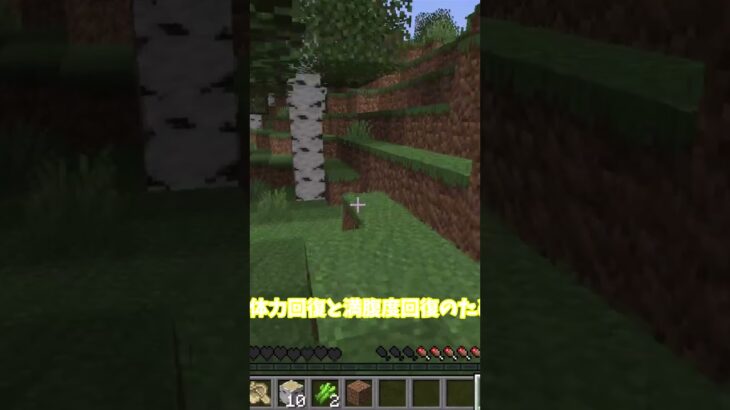 10秒マイクラPart16 #minecraft #shorts #minecraft #マイクラ