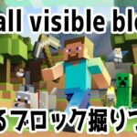 1【Minecraft】見えるブロック掘りつくす【Dig all visible blocks】