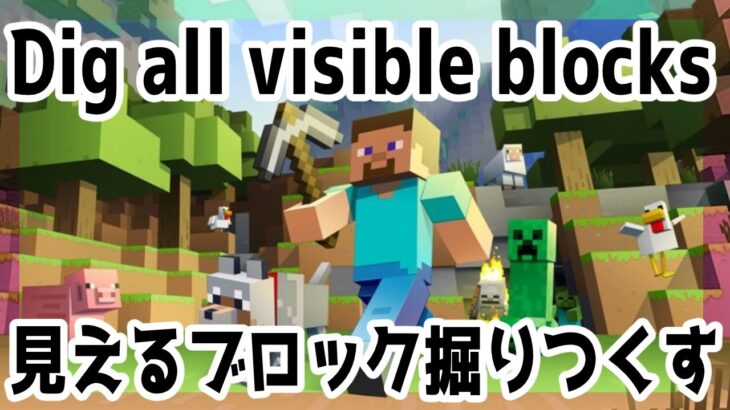 1【Minecraft】見えるブロック掘りつくす【Dig all visible blocks】