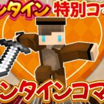 【マイクラ】コマンド2つで超簡単！ぷろぷろ特製「バレンタインコマンド」作ってみた！【スイッチ対応/マイクラ統合版】