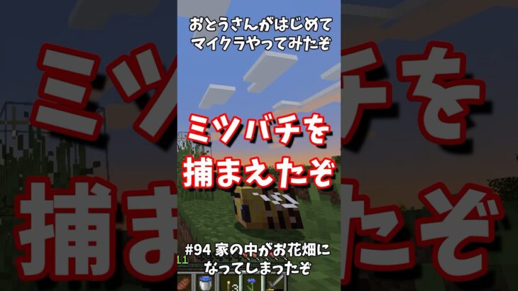 #94家の中がお花畑になってしまったぞ【おとうさんがはじめてマイクラやってみたぞ】