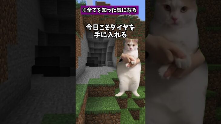 初めてダイヤを探しに行った話【猫ミーム】【マインクラフト】【Bling-Bang-Bang-Born】