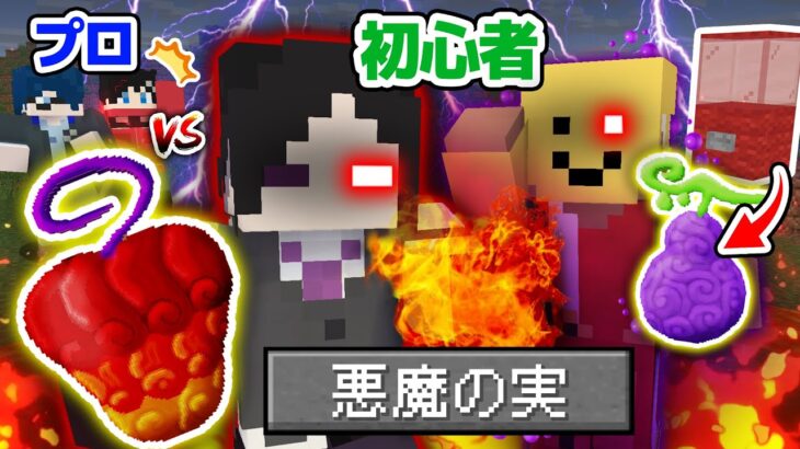 【マインクラフト😜】ガチャから出た”悪魔の実”を使えば初心者でも勝てる！？「ワンピースMOD」【マイクラ実況】