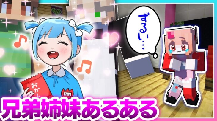 🍒絶対共感する⁉兄弟・姉妹あるあるマインクラフト【まいくら・Minecraft】りぃべる