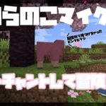 【Minecraft / #のらのこマイクラ】#初見さん大歓迎 エンチャントして冒険！【新人VTuber/桜乃とうか】
