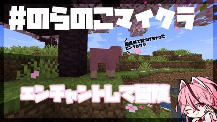 【Minecraft / #のらのこマイクラ】#初見さん大歓迎 エンチャントして冒険！【新人VTuber/桜乃とうか】