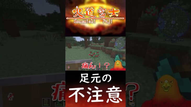 足元の不注意【 #Minecraft 】【 #Vtuber 】