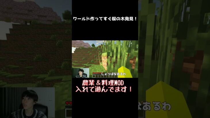 【Minecraft】ワールド作成後すぐ桜の木が！　#マイクラ #mod #農業MOD