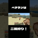 [マイクラ] ベテランは二羽狩り！ [マインクラフト] #Shorts #マイクラ #マインクラフト #Minecraft