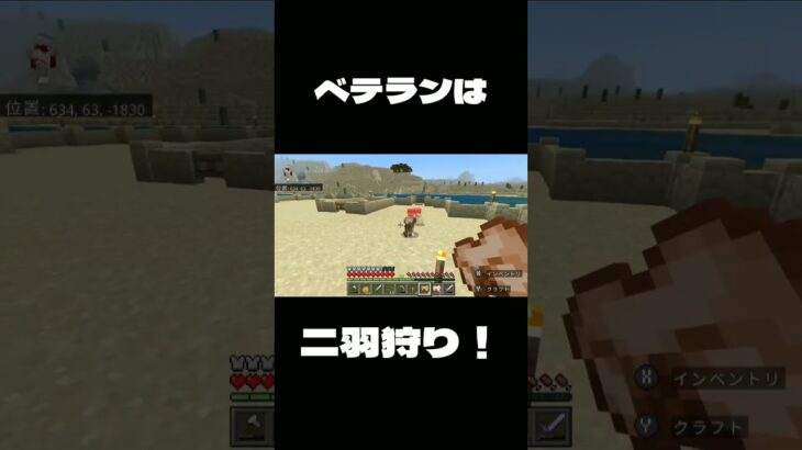 [マイクラ] ベテランは二羽狩り！ [マインクラフト] #Shorts #マイクラ #マインクラフト #Minecraft