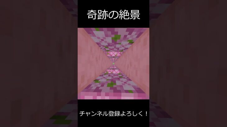 【絶景】桜の奇跡【逆再生】#minecraft #マインクラフト #マイクラ