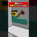 懐かしい教育テレビといえば？をマイクラで建築してみた【マイクラ】#えんちゃライク #minecraft #ゲーム実況 #実況グループ