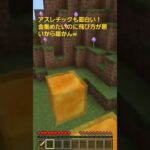 【建築・人狼・コマンド】アスレチックも面白ぞ！ここ楽しい【マイクラ統合版参加型・切り抜き】#minecraft #マイクラ #マイクラ統合版参加型 #マインクラフト