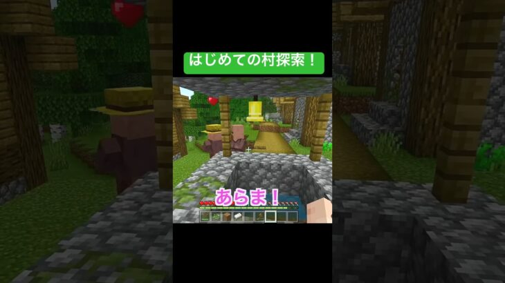 全て新鮮で嬉しさあふれる村探索！ #マイクラ実況 #マイクラ #マイクラフト #minecraft