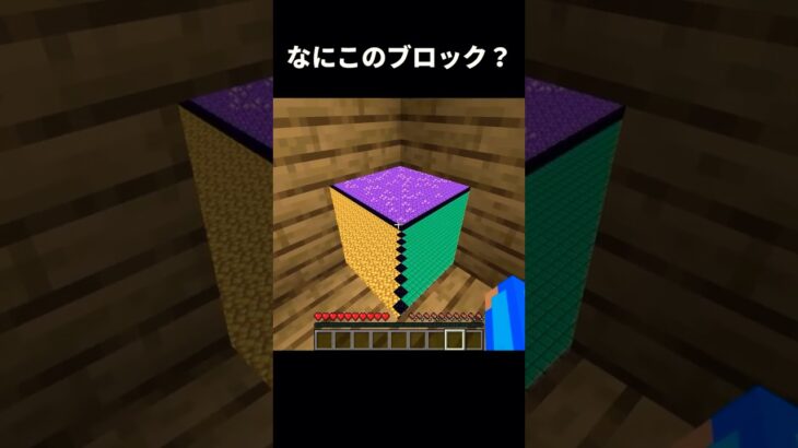 【マインクラフトチャレンジ】新種のブロックが見つかりました❓#shorts #マイクラ