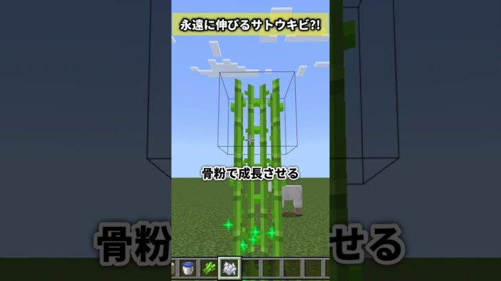 永遠に伸びるらしい・・・【マイクラ都市伝説 検証 裏技】 #shorts #マインクラフト #マイクラ #マイクラ豆知識 #マイクラ統合版 #ぶんぶく茶釜