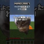 【マイクラ】コマンドあるある#shorts #猫ミーム #minecraft