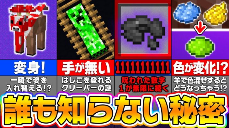 【マイクラ】誰も知らない小ネタが意外すぎるｗｗマイクラに隠された秘密１２選【まいくら・マインクラフト】