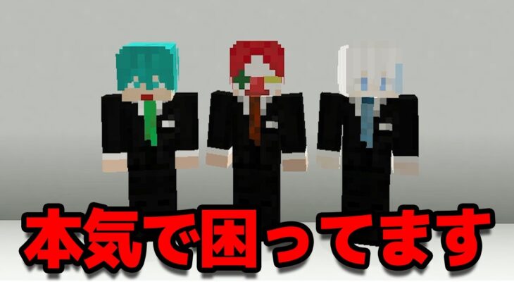 【編集者募集】このままじゃ動画投稿ができなくなるかもしれません…【マイクラ・マインクラフト】