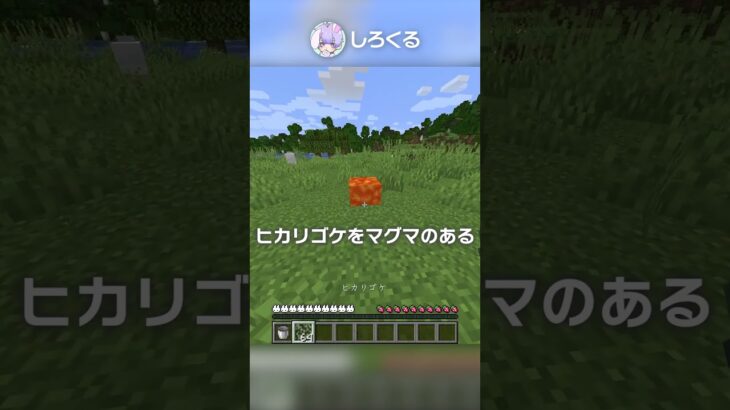 ネザーに水を出す裏技？！【マイクラ豆知識 解説 裏技】