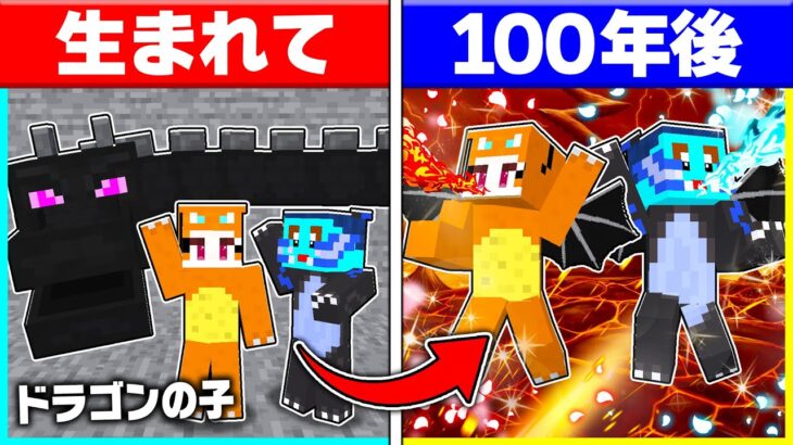 最強のドラゴンとして生まれた兄弟が生まれてから死ぬまで…【まいくら/マインクラフト】