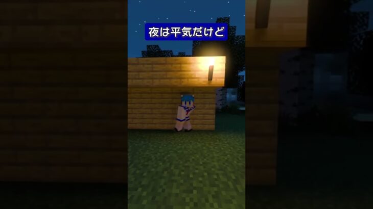 昼間外に出たら死ぬ世界のつくりかた【マインクラフト】