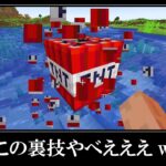 【衝撃】マイクラの隠されたバグ裏技＆小ネタ６選