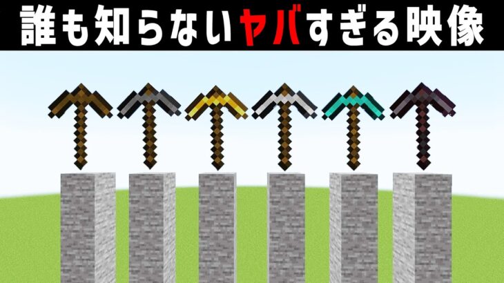 明らかにおかしい奇妙なマインクラフト【小ネタ】【ゆっくり解説】