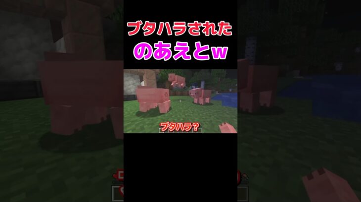 悪気ない？なお兄のブタハラ発言w#カラピチ#カラフルピーチ#マイクラ#のあさん#えとさん#のあえと#なおきり#じゃぱぱ#ゆあんくん#たっつん#どぬく