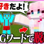 🌈ＮＧワードを言ったら『服が脱げる』マインクラフトがやばすぎたwww【まいくら/マインクラフト】