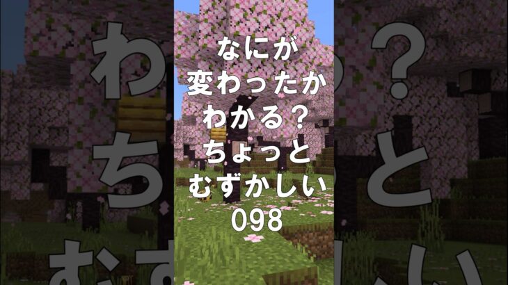 マインクラフトでマイクイズ！なにがかわったかわかる？アハ体験で間違い探し（ちょっとむずかしい）098 #shorts #マイクラ #マインクラフト #minecraft #マインクラフトでマイクイズ