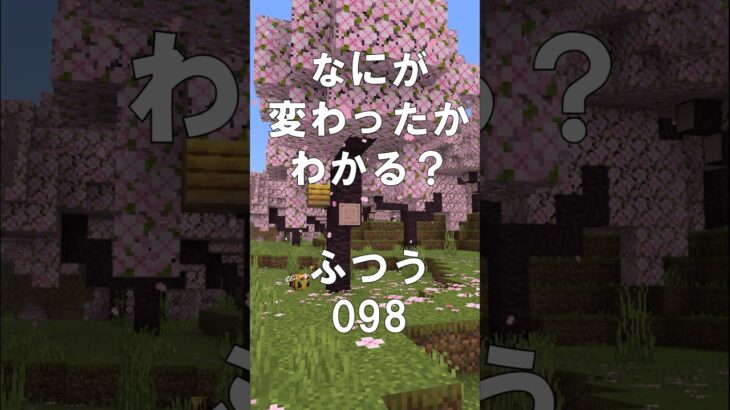 マインクラフトでマイクイズ！なにがかわったかわかる？アハ体験で脳トレ間違い探し（ふつう）098 #shorts #マイクラ #マインクラフト #minecraft #マインクラフトでマイクイズ