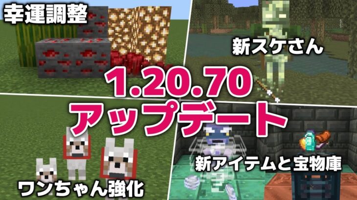 【マイクラ統合版1.20.70アップデート】オオカミの強化・実験でお宝いっぱい！？宝物庫、新スケルトン、新アイテム登場【マイクラ統合版1.20.70(71)】