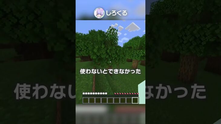 【1.21】土がなくなる？！！！！【マイクラ豆知識 解説 裏技】