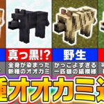 【マイクラ1.21】新種のオオカミが大量追加！1.21アップデート最新要素を全種類徹底紹介！【まいくら・マインクラフト】