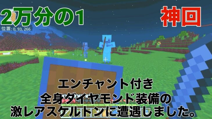 【マイクラ】エンチャント付きの全身ダイヤモンド装備の激レアスケルトンに遭遇しました💀💎【2万分の1】【神回】【激レア】