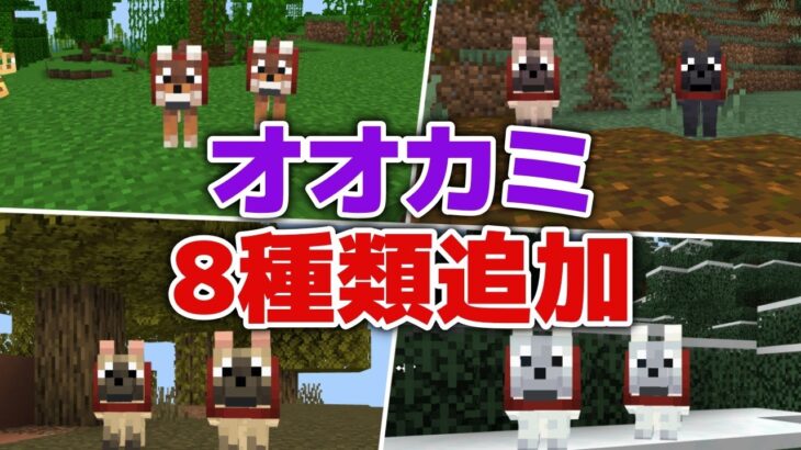 【マイクラ統合版アプデ情報】どのオオカミがお気に入り？オオカミが8種類追加！【マイクラ統合版1.20.80.21プレビュー】