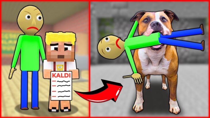 EFEKAN SINIFTA KALDI, KÖPEĞİ BALDİYİ ISIRDI! 😱 – Minecraft