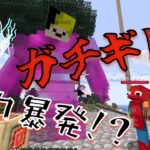 【マイクラMOD】悪魔の実暴発でガチギレする高校生