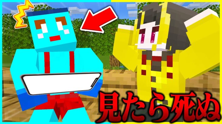 マイクラの『見た人は必ず死ぬ』呪いの動画がこわすぎた…  【 マイクラ / Minecraft 】