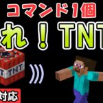 【スイッチ対応】爆発直前のTNTを操れる簡単コマンド！【マイクラコマンド/統合版/BE/PE/Win/プレステ】