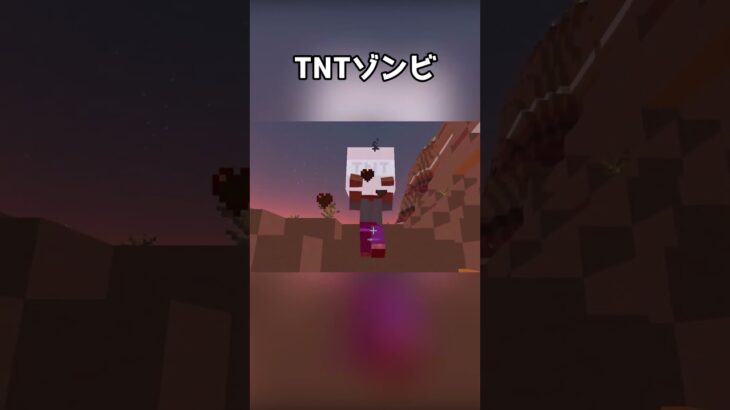 ゾンビがTNT持ってきたww【マイクラ】#shorts #マイクラ #マインクラフト #コマンド