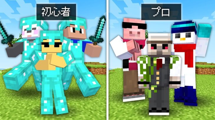 【マイクラ】ダイヤフル装備が支給された初心者 VS なにもないプロ！