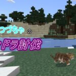 【マイクラ】　つづちゃのエンドラ討伐！（Ver. 1.16.1）　2024/03/29