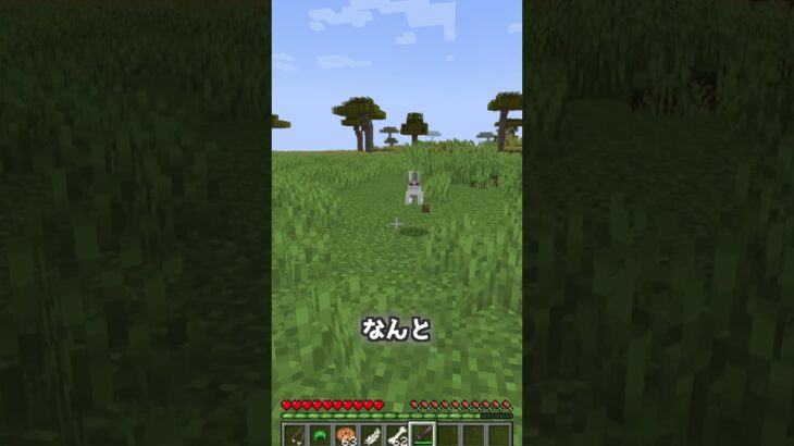 【マイクラ】マイクラ都市伝説「殺人ウサギ」 #マイクラ #マイクラコマンド #minecraft #コマンド #コマンド紹介 #マイクラ都市伝説 #都市伝説