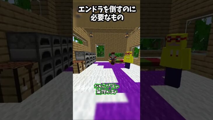 クワでエンドラ倒してみた？【minecraft】