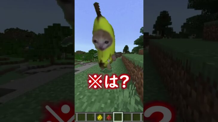 猫ミームmod?!【Minecraft・マインクラフト】 #マイクラ #minecraft  #マインクラフト #アスレ #minecraftshorts